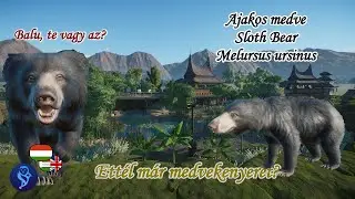 🐻Planet Zoo animals #152 | Sloth Bear - Have you eaten bear's bread?