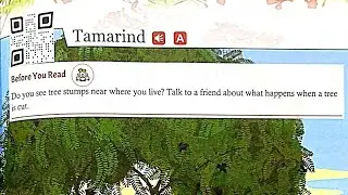 Tamarind Poem In Hindi of class 5 Gulmohar English | Hindi Explanation
