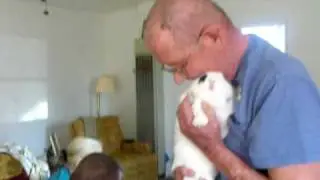 bunny doesn't want held.