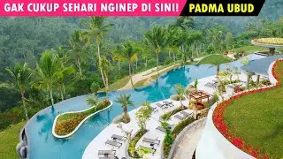 DIBIKIN BAPER SAMA HOTEL INI! Padma Resort Ubud Review | Hotel Bagus di Bali