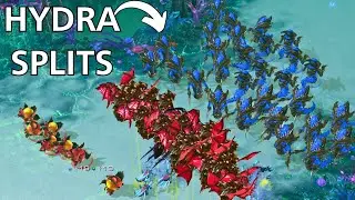 This Is What Happens When a Terran Pro Plays Zerg...