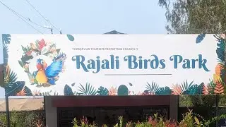 Rajali Birds Park Tanjore #ராஜாளி பறவைகள் பூங்கா தஞ்சாவூர் #rajalibirdspark #birds #touristplaces