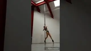 Сексуальный танец в Pole dance exotic