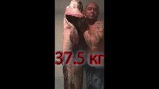NEVER CUT A LARGE CATFISH AT HOME. THIS CATFISH WEIGHS 37.5 KG. THIS IS A BIG CATFISH! HOW TO CUT...