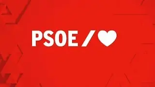 Comparecencia del Ministro del Interior, Fernando Grande-Marlaska Senado 29/05/2020