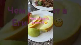 ЧЕМ КОРМЯТ СЕЙЧАС В ЕГИПТЕ ⁉️ 