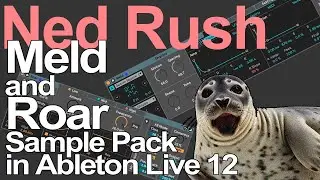 Ableton Live 12 Tutorial - Meld and Roar Sample Pack = Ned Rush