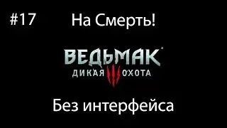 Ведьмак 3: Дикая Охота (На смерть! Без интерфейса) #17. Список блудниц