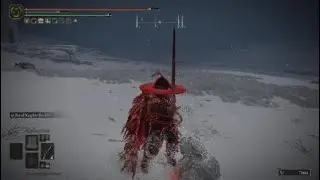 ELDEN RING 1vs4