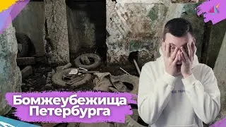 Не найти убежища