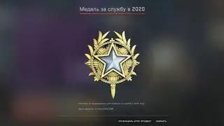 Получил медаль 2020 года в CS:GO
