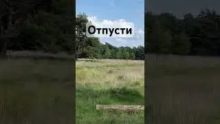 Как наблюдать за мыслями 