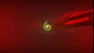 Silk Logo Reveal | The Best After Effects Templates