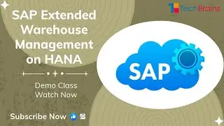 SAP EWM DEMO on HANA1909 By TechBrainz