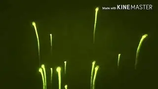 Страшные истории дом на кладбище