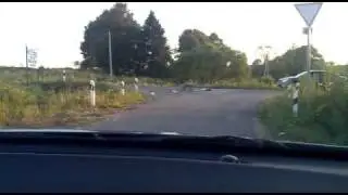 бешеная лиса в Подольске