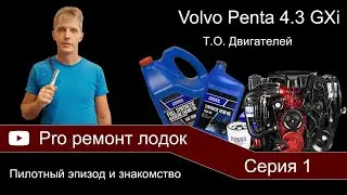 ТО двигателей Volvo Penta 4.3 GXi. Pro ремонт лодок. Серия 1