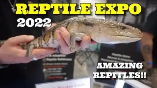 Toronto Canada Big Reptile Expo 2022! Animal Show!!