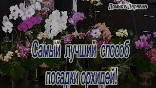 Самый лучший способ посадки орхидей  Фаленопсис  Часть 1!Закрытая система!
