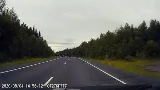 Медведи на пермской трассе
