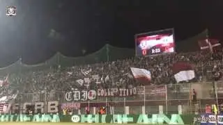 Ultras Rapid  Petrolul