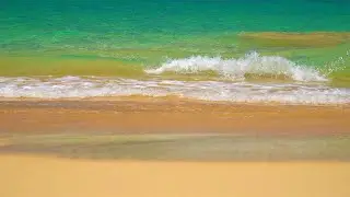 8 Hours Beach Waves Shore Break & Relaxing Ocean Waves Sound - RELAX, SLEEP, ASMR | Great Escapes
