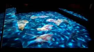 300w water effect light MS-WT300