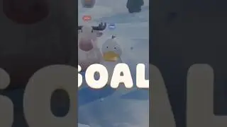 ZONZO TEAM