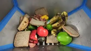 Testing Bio shredder with waste food.