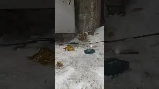 Взрыв пивной кеги, компрессор от холодильника