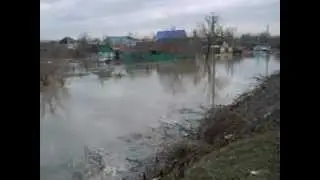 Кукса снова разбушевалась