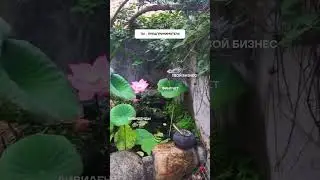 Интенсив по финансам для бизнеса https://salebot.site/46f57bfafd721872b2ff69d0e1784c77_1 #
