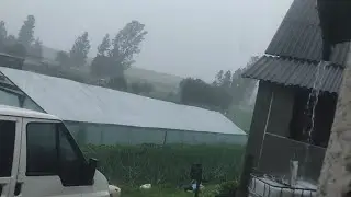 Сильний дощ. Злива на Львівщині .Зламало дерева...  дякувати нас оминуло.