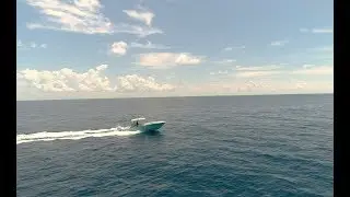 A Day on the Yellowfin