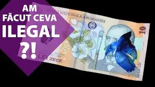 Am facut ceva ILEGAL? Magie cu pesti!