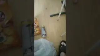 shorts, зелёный пакет, часть 6