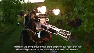 Can hyperspectral imaging and a mobile robot platform assess when grapes are ready for harvest?