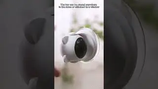 Interactive Playtime Redefined: Introducing the Automatic Cat Toy!