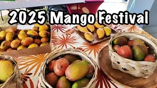 🥭 Hågat Mango Festival in Guam!