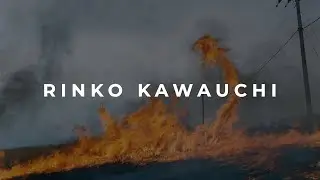 Rinko Kawauchi: poetic images of everyday life // Selected works