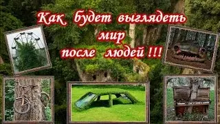 КАК  БУДЕТ ВЫГЛЯДЕТЬ  МИР  ПОСЛЕ ЛЮДЕЙ !!!