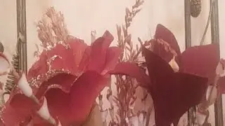 Ls11/10/19 Day#07