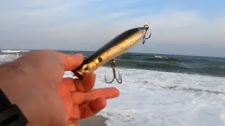 Fishing Early Fall BLUEFISH - Popping the Beach for Dusk Blues