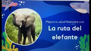 Mejora tu salud financiera con la RUTA DEL ELEFANTE