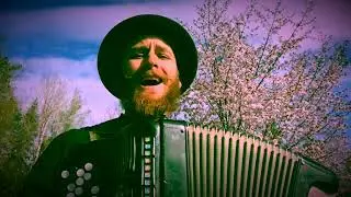 I Vinden Finns Ditt Svar - Bob Dylan PÅ SVENSKA!