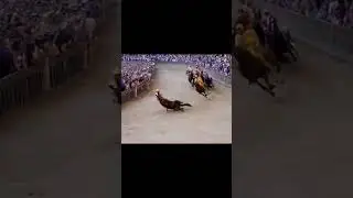 LIKE IF U ARE AGAINST TO HORSE ABUSE💔💔