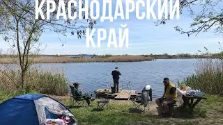 РЫБАЛКА НА КАРАСЯ// Краснодарский край