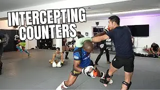 My Top 7 Intercepting Counters