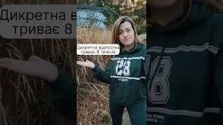 Переїхавши до Бельгії 🇧🇪, дізналась, що тут...#Бельгія #імміграція