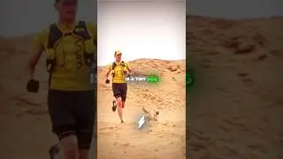 The Dog Wouldn’t Stop Chasing Him…😱🚨
